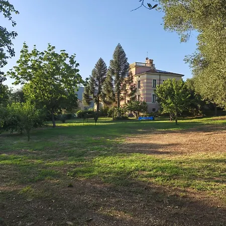 Vincenza Vallo della Lucania